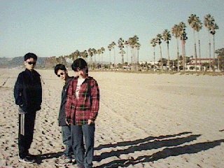 Beach of Santa Barbara