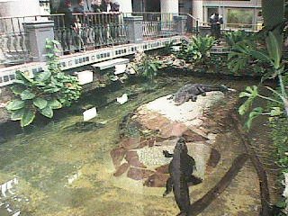 California Academy of Science2