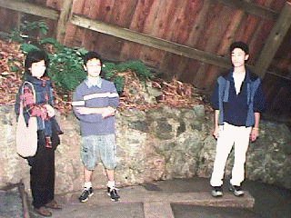 Mystery Spot 2