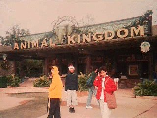 Animal Kingdom