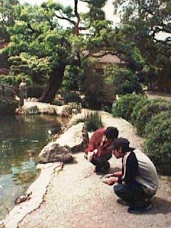 Pond and Bridge in Hakone Garden