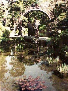 Taiko-Bashi in Japanese Tea Garden