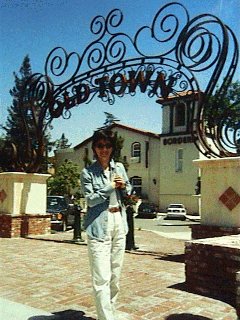 Old Town of Los Gatos