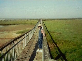 Palo Alto Reserve