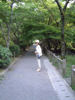 Seimei Jinja