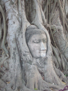 ayutthaya15