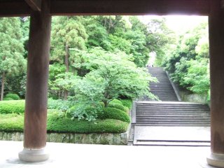 知恩院2