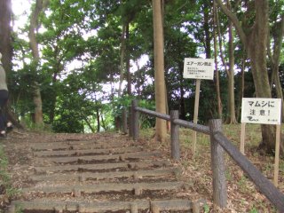 茅ヶ崎市民の森1