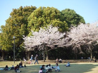 北の丸公園5