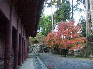 延暦寺2