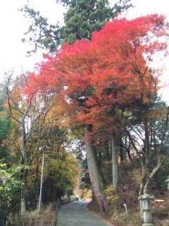 延暦寺9