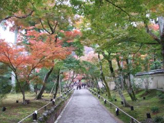 宝厳院13