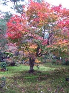 宝厳院3