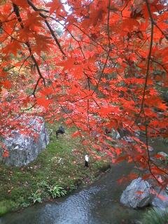 宝厳院8