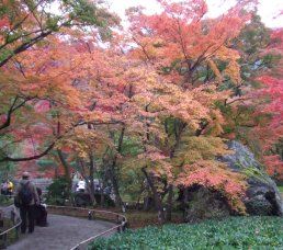 宝厳院9