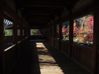 清涼寺2