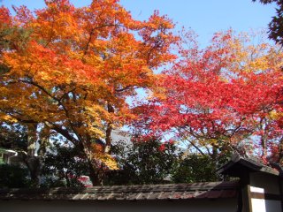 清涼寺6