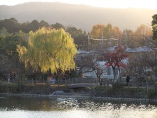 長岡天満宮2