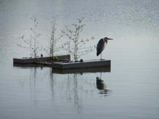 長岡天満宮3