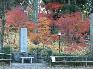 長岡天満宮7