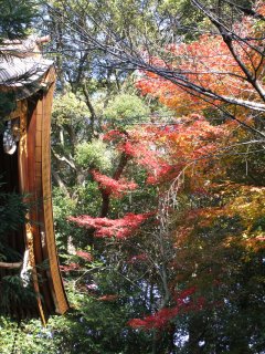 岡崎神社4