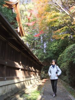 岡崎神社5