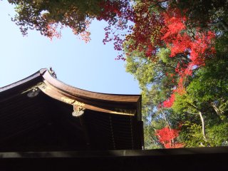 岡崎神社1