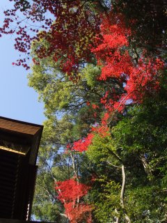 岡崎神社2