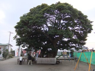 八王子神社2