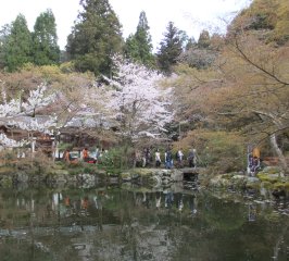 醍醐寺24