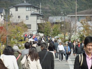 醍醐寺1