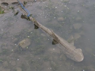 fishing3