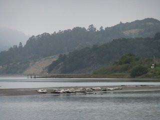 fishing4