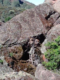 Pinnacles11