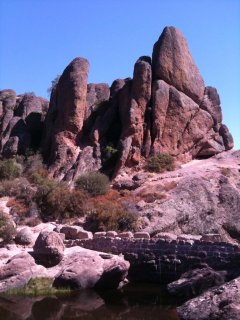 Pinnacles16