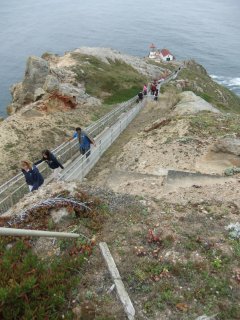 PointReyes10