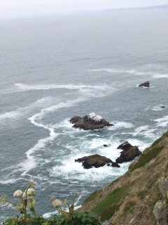 PointReyes12