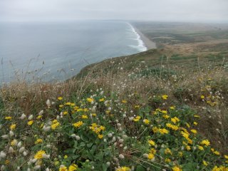 PointReyes4