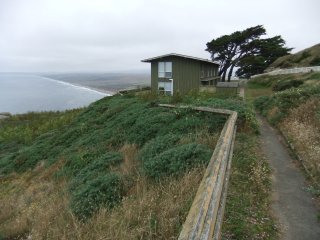 PointReyes7