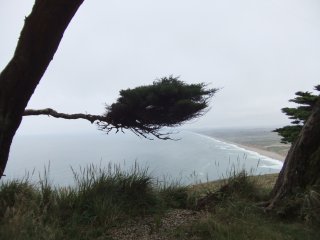 PointReyes6