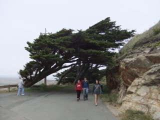 PointReyes8