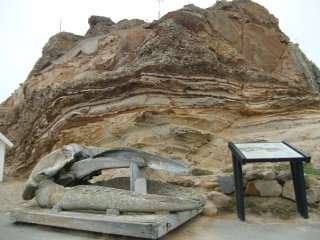 PointReyes9