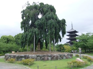 東寺3