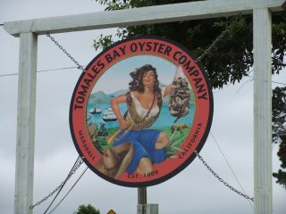 Tomales Bay Oyster Company1