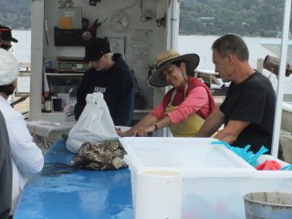 Tomales Bay Oyster Company2