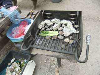 Tomales Bay Oyster Company4