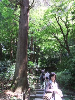 瑞泉寺参道