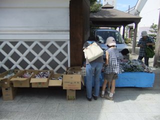 松本2