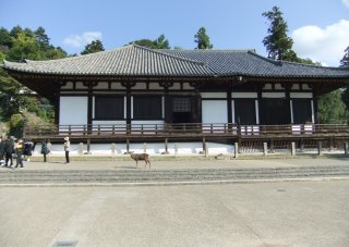 東大寺20