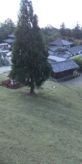 東大寺26